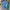 FULL PRINT T-SHIRT DISNEY DONALD DUCK photo 1