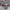 Vans moma authentic photo 1