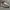 Nike Waffle One Summit White ( Size 43 ) photo 5