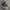 Converse Originals Chuck Taylor 70s Classic Black White High photo 1