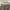 Longchamp LLH ( Large Long Handle ) in Terra photo 2