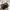 Longchamp LLH ( Large Long Handle ) in Terra photo 7