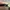Longchamp LLH ( Large Long Handle ) in Terra photo 3