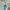 Pull n bear mom jeans high waist for women photo 6