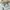 Pull n bear mom jeans high waist for women photo 5