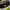 Longchamp Mini Pouch in Black Green Series photo 5