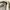 Mark n spencer pants for womens photo 3