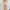 Peach Mermaid Bodycon Dress photo 1