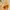 Peach Mermaid Bodycon Dress photo 5