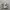 New Balance 1906L photo 1