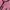 Blazer Daily Pink photo 2