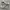 converse american flag photo 3