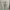 Russel Athletic Vintage Longsleeve Tshirt Army photo 2