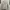 Russel Athletic Vintage Longsleeve Tshirt Army photo 3