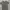 Army Tshirt Hanes photo 7