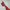 Tara Collection Sandal Heels Merah Pita photo 4