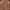 Sportswear Casual Windbreaker Wanita Tan Brown