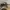 Trucker Hat Vintage Camouflage Youngan photo 1