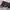 Sunglasses Charles & Keith