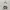 A Bathing Ape Bape Baby Milo Sweatshirt photo 3