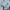 HOODIE NICE GHOST CLUB SCREAM LOGO HOODIE KOREAN KIM WOOJIN photo 4