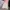 Tumbler Starbuck Pinky Blossom photo 7