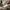 NEW BALANCE 990 V6 X LORO , NEW BALANCE USA PIANA , NEW BALA photo 9