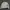 Maison Margiela Mutiny Logo Sweatshirt Men photo 3