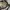 Vintage Streetwear Bag Pria white photo 7