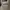 Sony WH—CH520 Wireless Headphones  photo 3