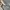 Tory Burch Luxury Minimalist Crossbody Bag Wanita gray photo 5