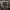 Cotton:on Trucker Sherpa Jacket  photo 7
