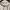 Casual Crop top Wanita white photo 3