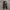 Cargo Pants Vision Street Wear Charcoal Dead Stock Bnwt