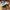 Adidas Samba Wales Bonner Pony Tonal photo 3