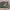 Charles And Keith Minimalist Crossbody Bag Wanita Green