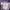 Fjällräven Sportswear Minimalist Backpack Wanita purple photo 5