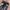 Swords flared jeand flower embroidered photo 3