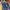 Adidas Handball Spezial Night Indigo Hazy Green photo 3