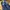 Adidas Spezial Manchester 89 Dark Blue photo 3