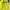 Lafuma Gorpcore Sportswear Bag Pria yellow black photo 6