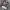 Stage 1/4 Outer Shirt 4 Pocket photo 3