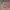 Guess Triangle Big Logo