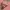 Guess triangle big logo photo 2