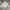Fila big logo photo 1