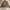 Carhartt Detroit Jacket WJ097 CML photo 2