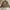 Carhartt Detroit Jacket WJ097 CML