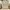 Vivienne Westwood Luxury Cardigan Wanita cream photo 1