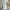 Vivienne Westwood Luxury Cardigan Wanita cream photo 5