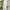 Vivienne Westwood Luxury Cardigan Wanita cream photo 6
